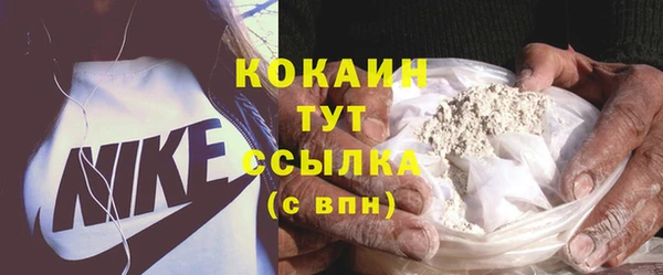 дмт Арсеньев