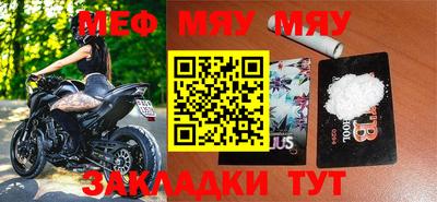 стафф Кингисепп