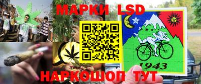 стафф Кингисепп