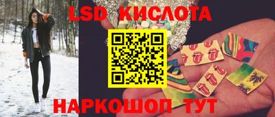 СК Кимры
