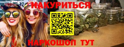 стафф Кингисепп