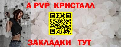 стафф Кингисепп