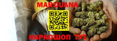 стафф Кингисепп
