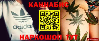 стафф Кингисепп