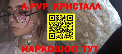 стафф Кингисепп