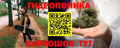 СК Кимры