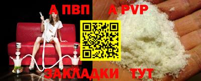 стафф Кингисепп