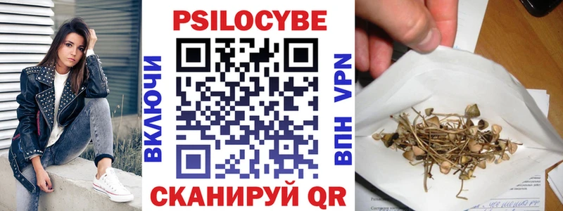 блэк спрут зеркало  Куйбышев  Псилоцибиновые грибы мухоморы  наркота 