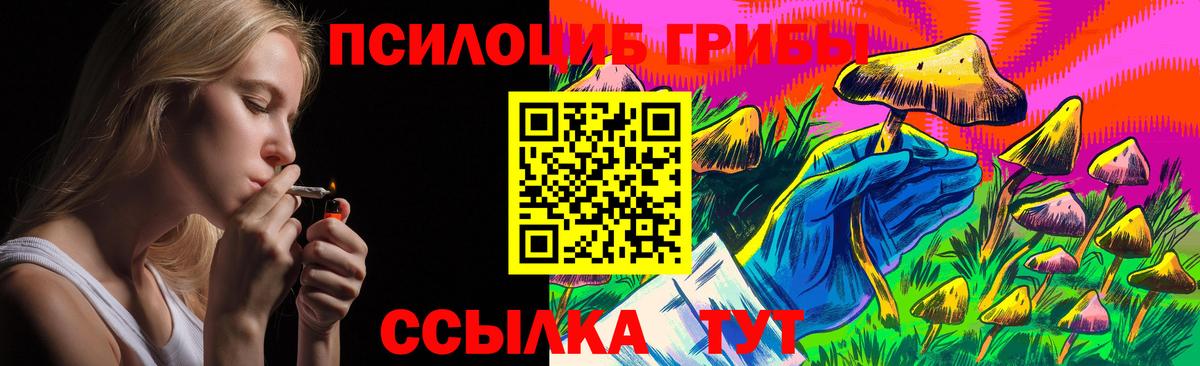 Куйбышев  Псилоцибиновые грибы Psilocybe  Вход с VPN 